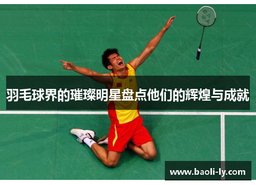 羽毛球界的璀璨明星盘点他们的辉煌与成就